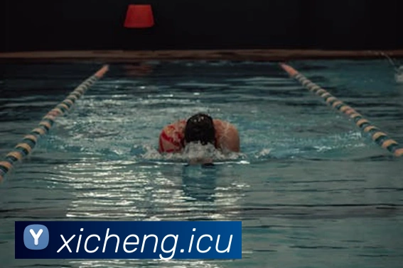 mksports官方登录入口平台生态图